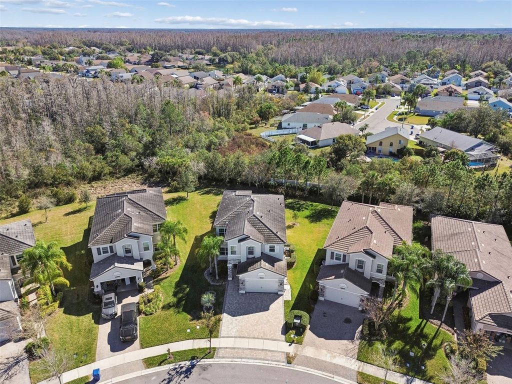 Image 71 of property listing at 30578 CEASAR PARK DRIVE, Wesley Chapel, FL 33543