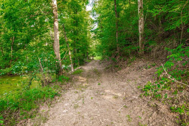 825 Harsh Ln, Castalian Springs, TN 37031