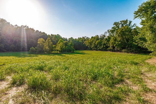 825 Harsh Ln, Castalian Springs, TN 37031