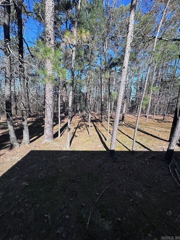 11 Lindsay Ln, Hot Springs Village, AR 71909