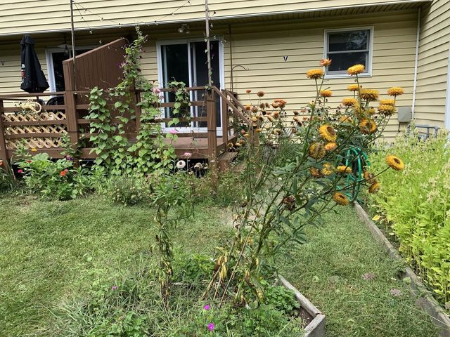 63 Fairmont Place, Burlington, VT 05408