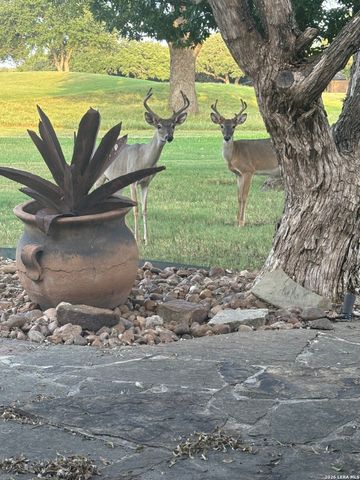 29549 Slumberwood, Boerne, TX 78015