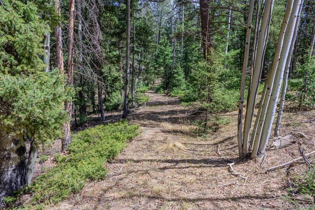 2763 N Mountain Estates Road, Florissant, CO 80816