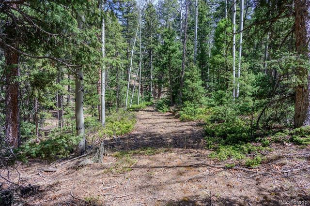 2763 N Mountain Estates Road, Florissant, CO 80816