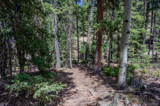 2763 N Mountain Estates Road, Florissant, CO 80816