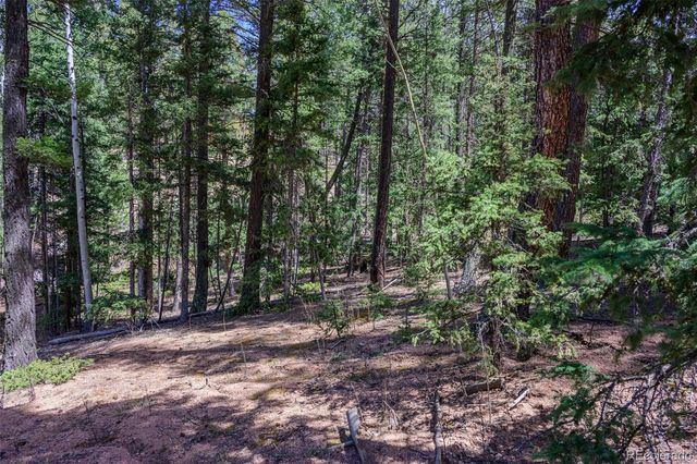 2763 N Mountain Estates Road, Florissant, CO 80816