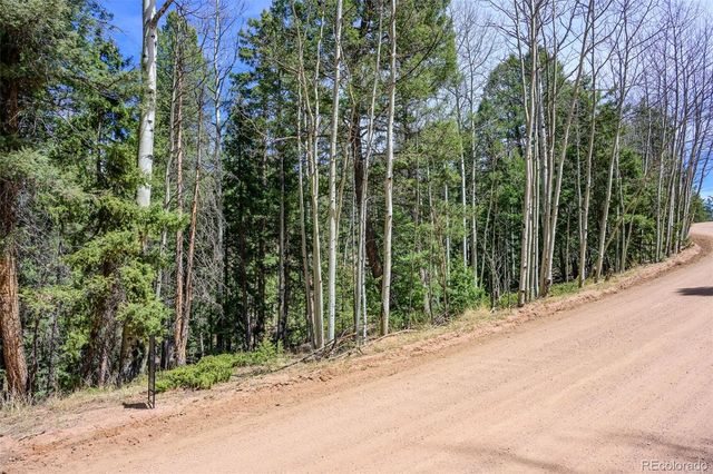2763 N Mountain Estates Road, Florissant, CO 80816