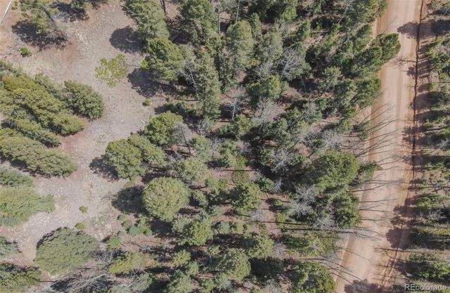 2763 N Mountain Estates Road, Florissant, CO 80816