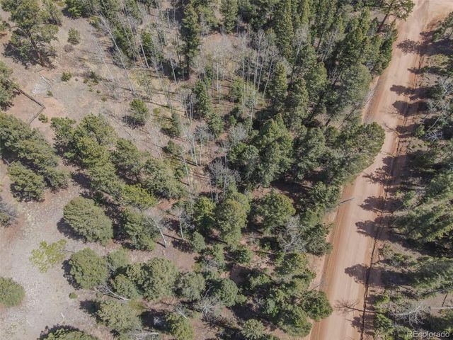 2763 N Mountain Estates Road, Florissant, CO 80816