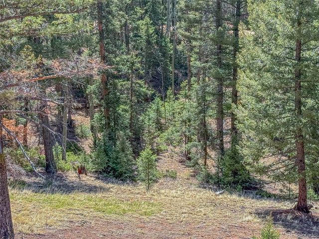 2763 N Mountain Estates Road, Florissant, CO 80816