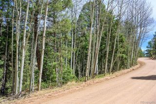 2763 N Mountain Estates Road, Florissant, CO 80816