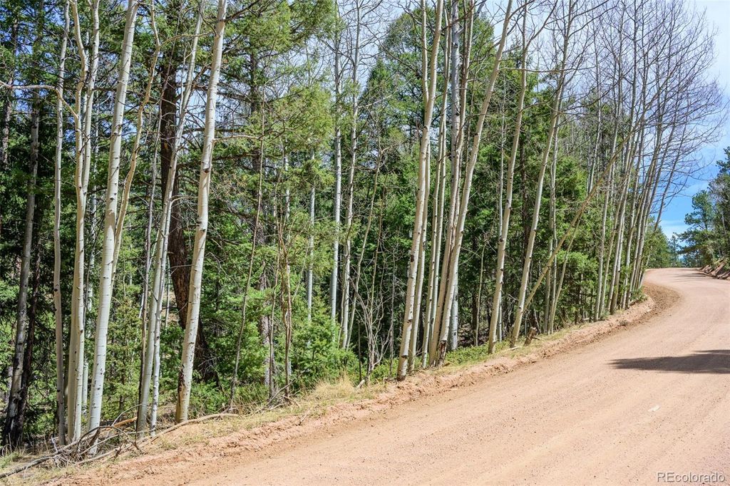2763 N Mountain Estates Road, Florissant, CO 80816