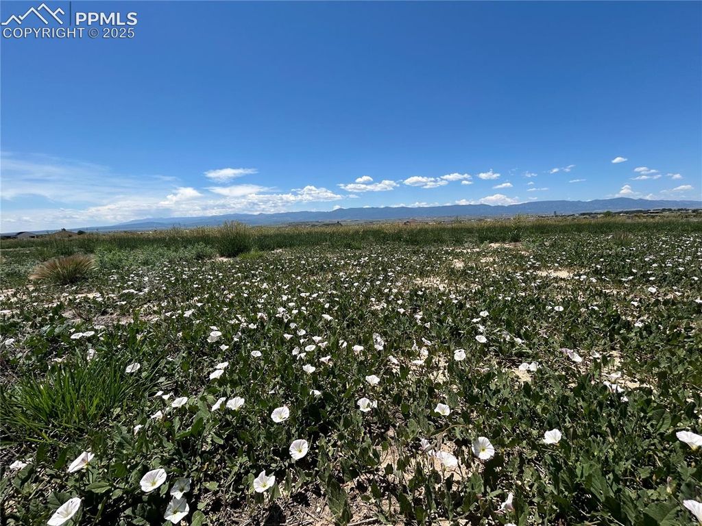 83 Top Rail Trail, Penrose, CO 81240 — photo 4