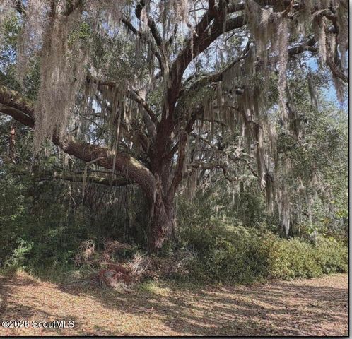 11817 Ga Highway 99, Darien, GA 31305