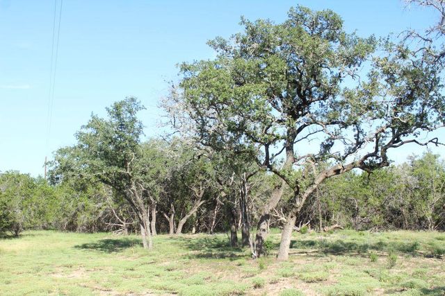 Lots 56-57 Travis Oaks DR, Marble Falls, TX 78654