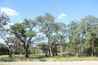 Lots 56-57 Travis Oaks DR, Marble Falls, TX 78654