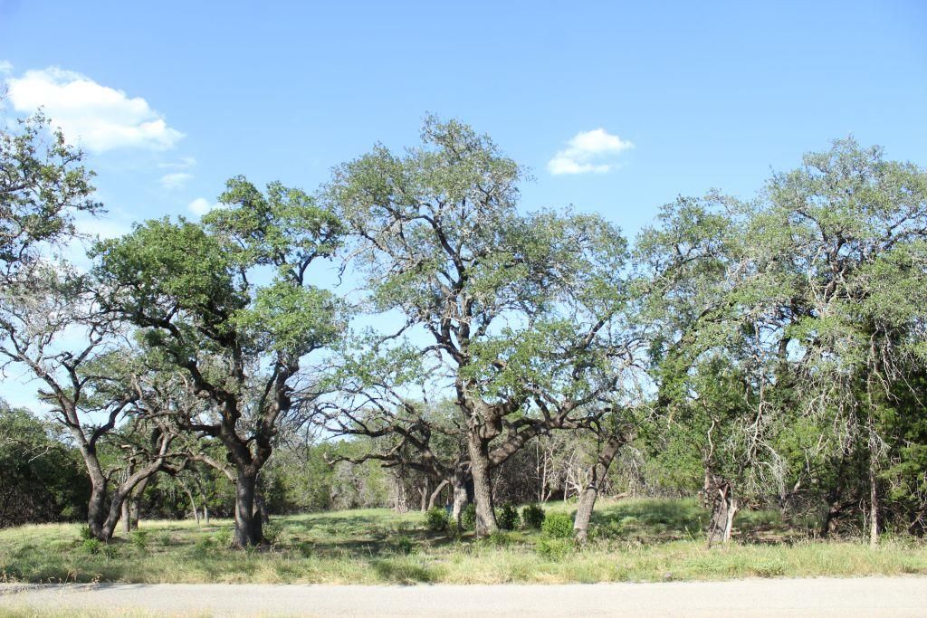 Lots 56-57 Travis Oaks DR, Marble Falls, TX 78654