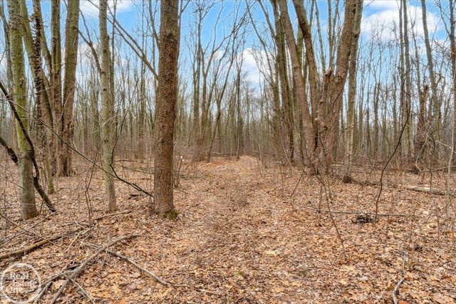 7920 Marsh Road, Cottrellville, MI 48039