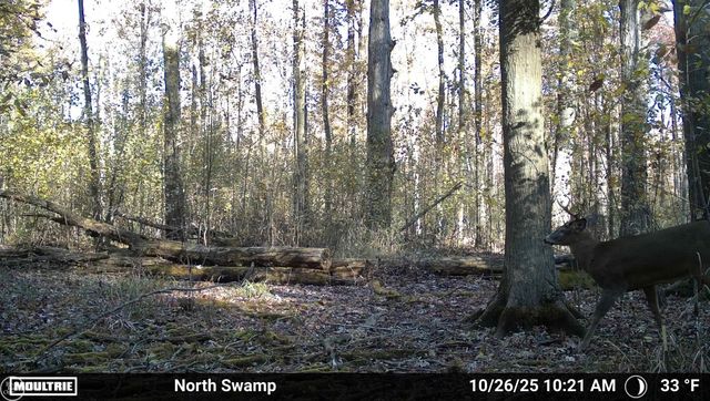 7920 Marsh Road, Cottrellville, MI 48039