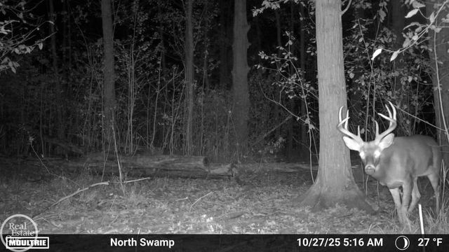 7920 Marsh Road, Cottrellville, MI 48039