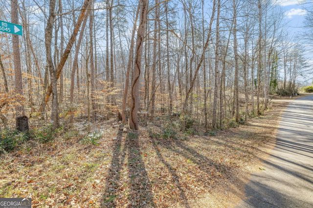 6045 Circle Of Light Drive, Gainesville, GA 30506