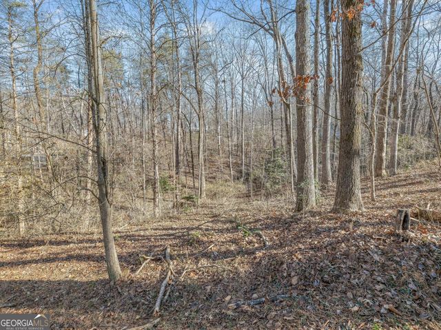 6045 Circle Of Light Drive, Gainesville, GA 30506