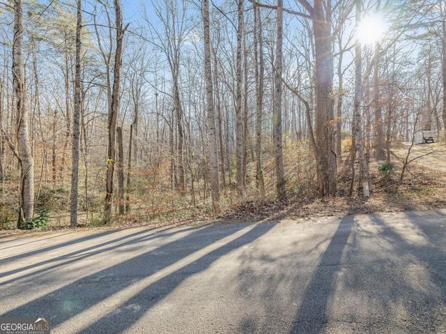 6045 Circle Of Light Drive, Gainesville, GA 30506