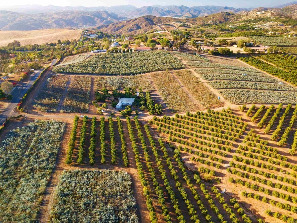 31817 Via Ararat Drive, Bonsall, CA 92003 — exterior