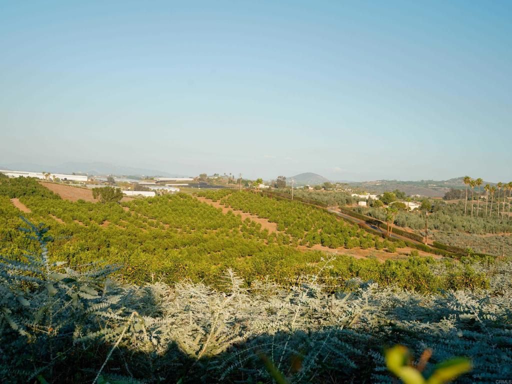 31817 Via Ararat Drive, Bonsall, CA 92003 — photo 3