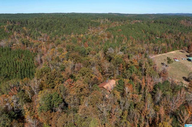 830 TURKEY RIDGE ROAD, Ragland, AL 35131