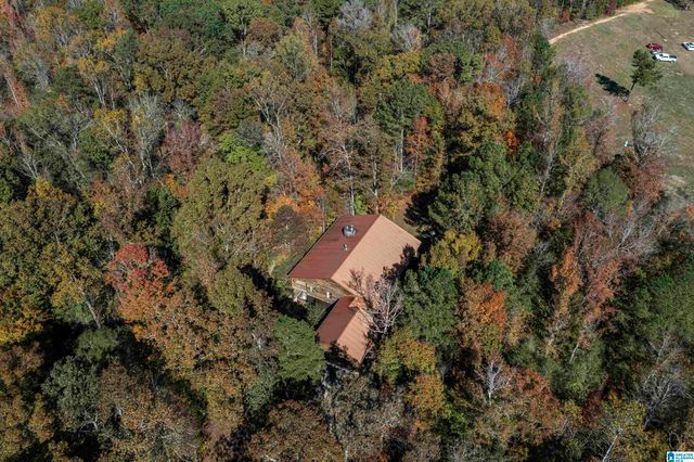 830 TURKEY RIDGE ROAD, Ragland, AL 35131