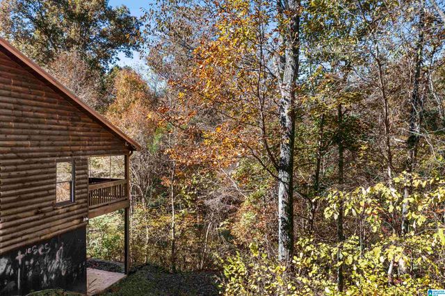 830 TURKEY RIDGE ROAD, Ragland, AL 35131