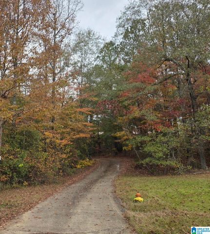 830 TURKEY RIDGE ROAD, Ragland, AL 35131