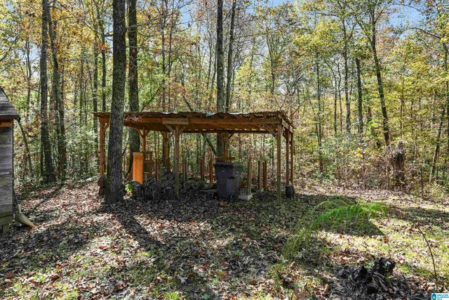 830 TURKEY RIDGE ROAD, Ragland, AL 35131