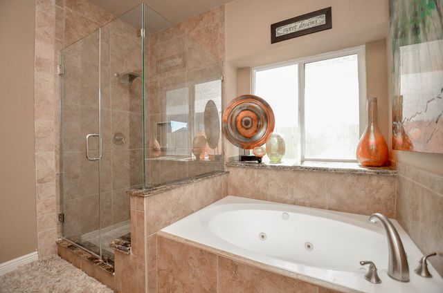 14306 Manorbier Lane, Sugar Land, TX 77498