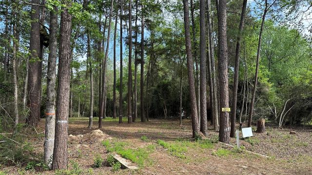 775 Huckleberry Circle, Onalaska, TX 77360