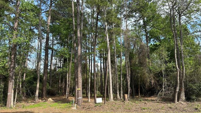 775 Huckleberry Circle, Onalaska, TX 77360