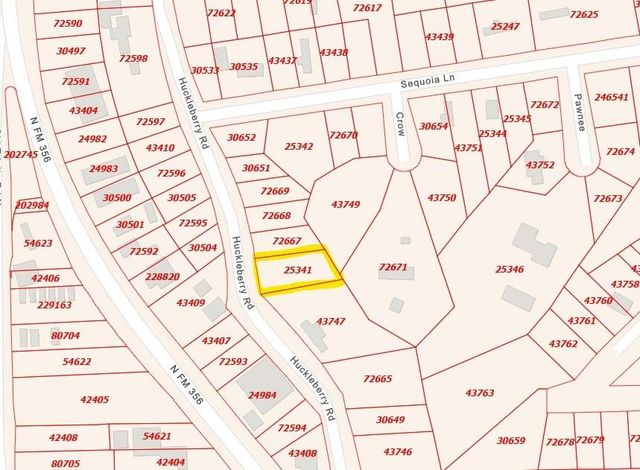 775 Huckleberry Circle, Onalaska, TX 77360