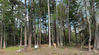 775 Huckleberry Circle, Onalaska, TX 77360