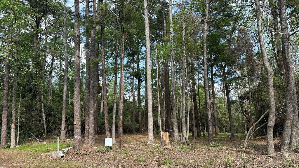 775 Huckleberry Circle, Onalaska, TX 77360