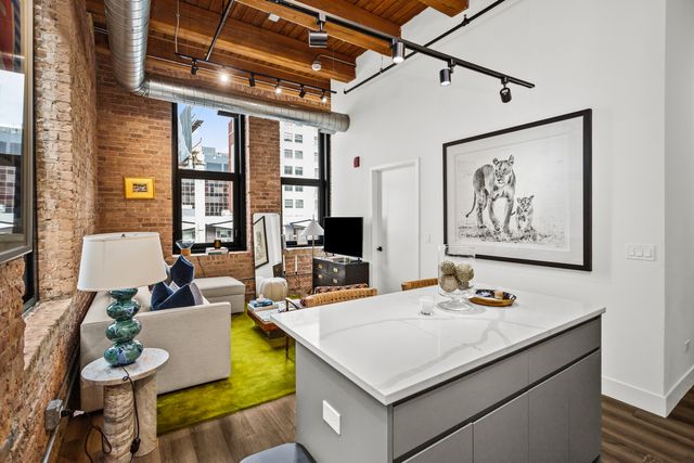 153 W Ohio Street 401, Chicago, IL 60654