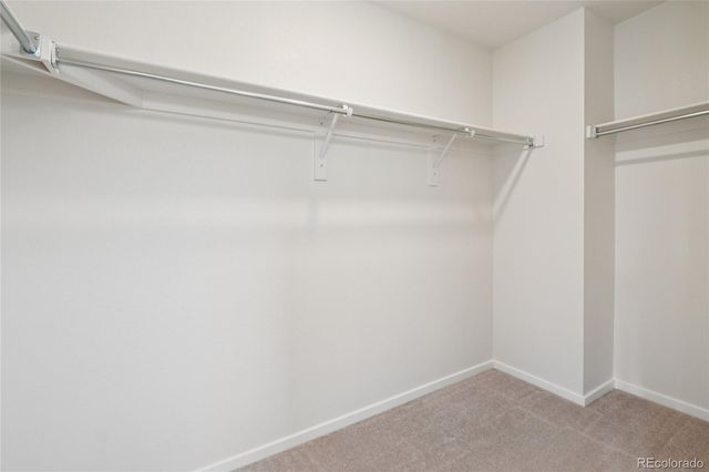 5672 Jedidiah Drive, Timnath, CO 80547