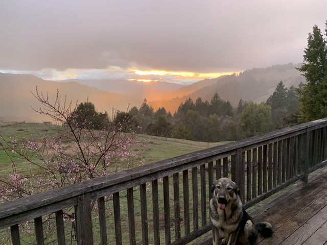 170 Justice Road, Zenia, CA 95595