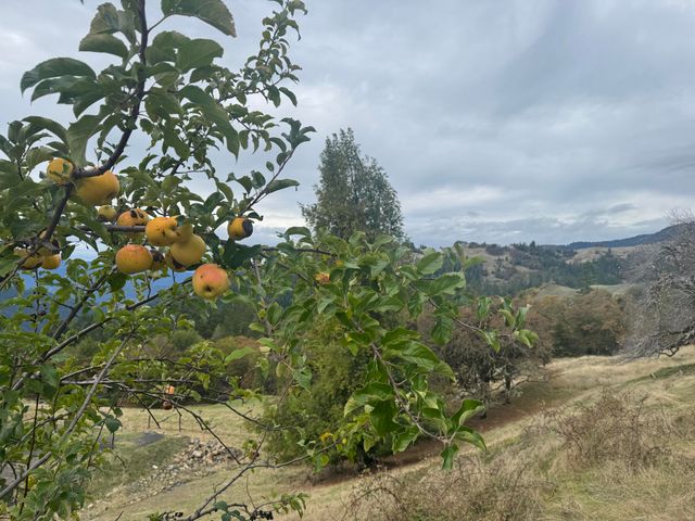 170 Justice Road, Zenia, CA 95595