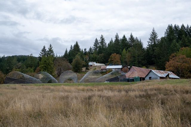 170 Justice Road, Zenia, CA 95595