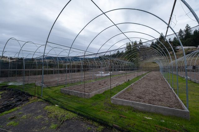 170 Justice Road, Zenia, CA 95595