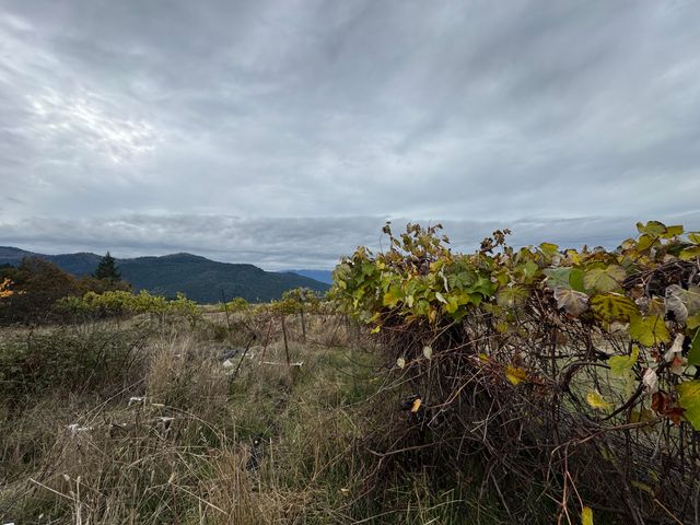 170 Justice Road, Zenia, CA 95595