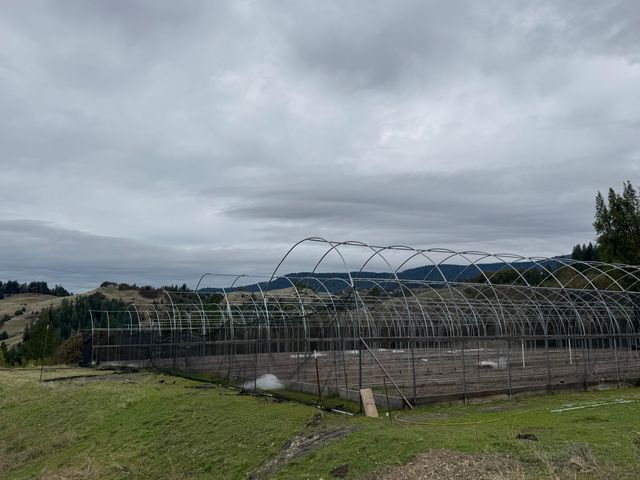 170 Justice Road, Zenia, CA 95595