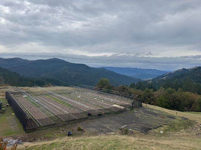 170 Justice Road, Zenia, CA 95595