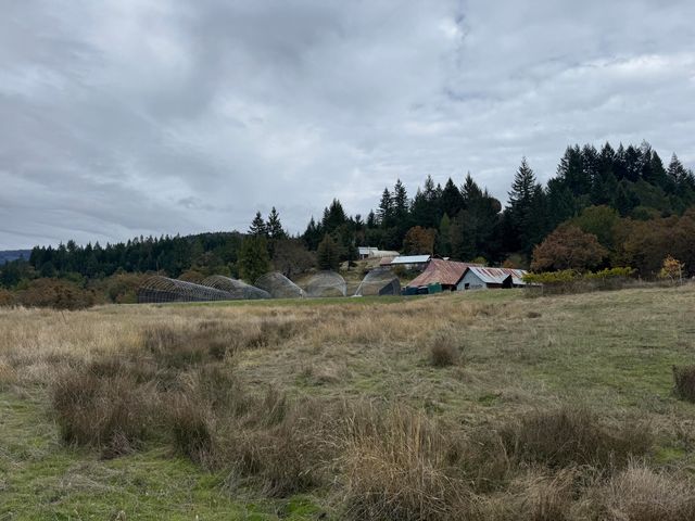 170 Justice Road, Zenia, CA 95595